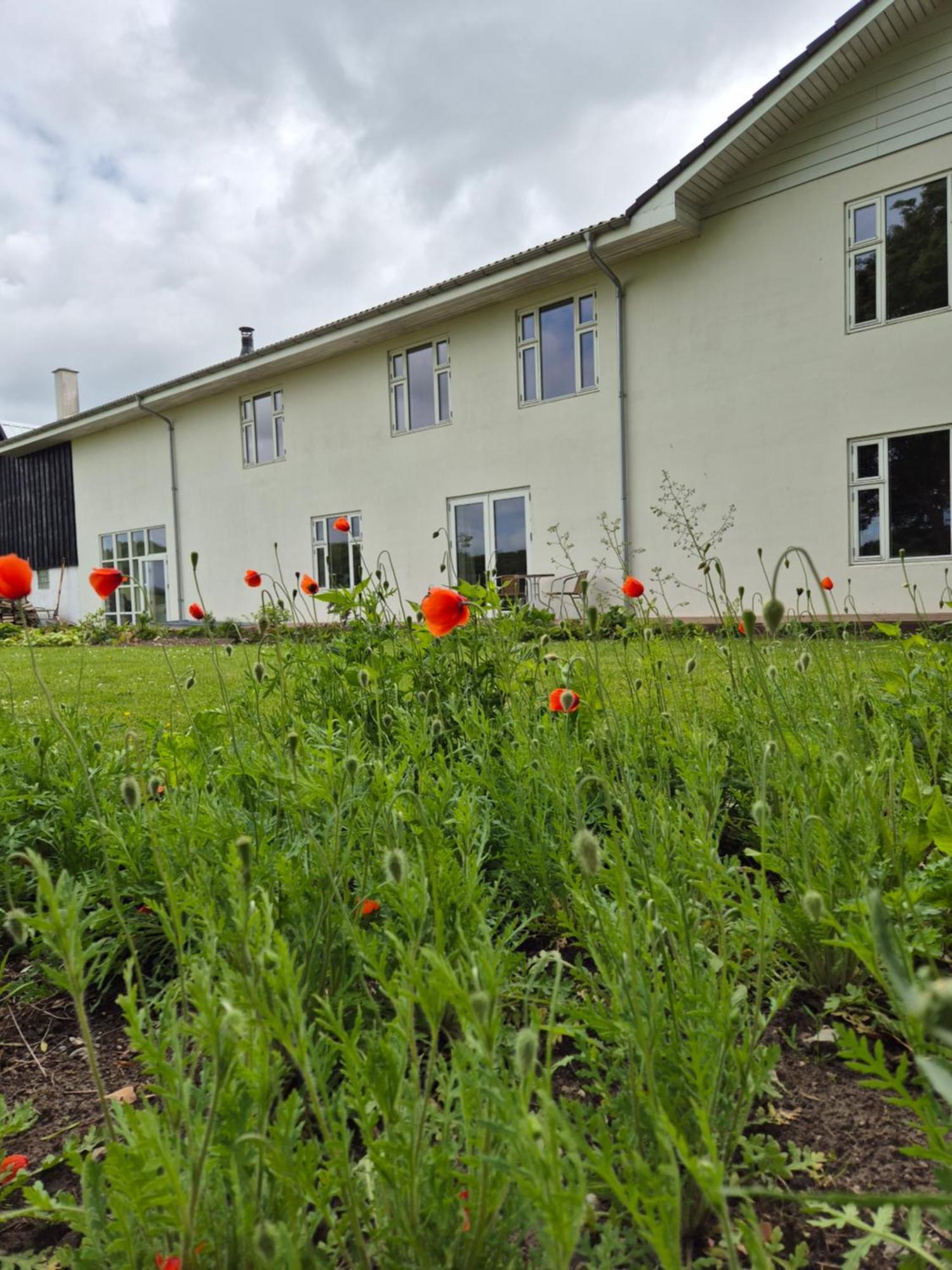 Mols Bed & Breakfast Knebel Exterior photo